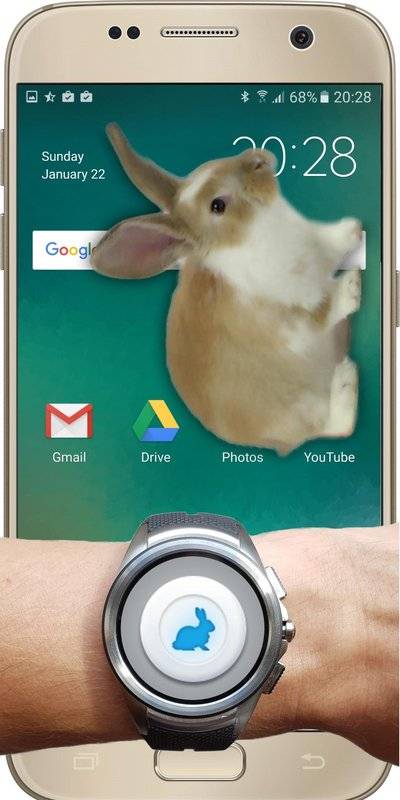 Bunny In Phone Cute joke(兔子在手机可爱的笑话游戏)https://img.96kaifa.com/d/file/agame/202304090532/20171161524108200.jpg