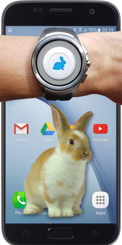 Bunny In Phone Cute joke(兔子在手机可爱的笑话游戏)https://img.96kaifa.com/d/file/agame/202304090532/20171161525986080.jpg