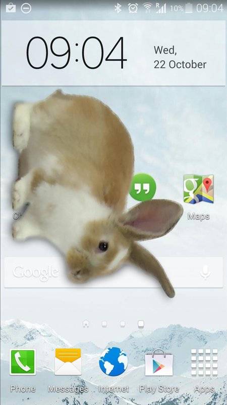 Bunny In Phone Cute joke(手机桌面养兔子软件)https://img.96kaifa.com/d/file/agame/202304090537/201711615152219310.jpg