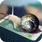 蜗牛恶作剧(蜗牛在手机屏幕上app)