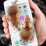 老鼠恶作剧app-大鼠在屏幕上