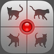 人猫交流器app手机版
