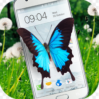 Butterfly in Phone Lovely joke手机屏幕有蝴蝶的app