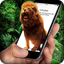 Lion On Screen手机上的狮子