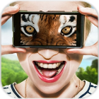 Vision animal simulator动物眼睛软件