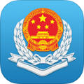 广东国税(广东省电子税务局app)