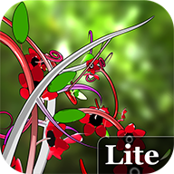 3D花卉动态壁纸-Jungle of Flowers 3D Lite