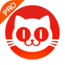 猫眼电影专业版app官方
