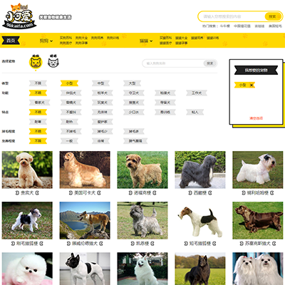 仿《小可爱宠物网》源码 宠物狗猫品种资讯训练网站模板 手机版+采集