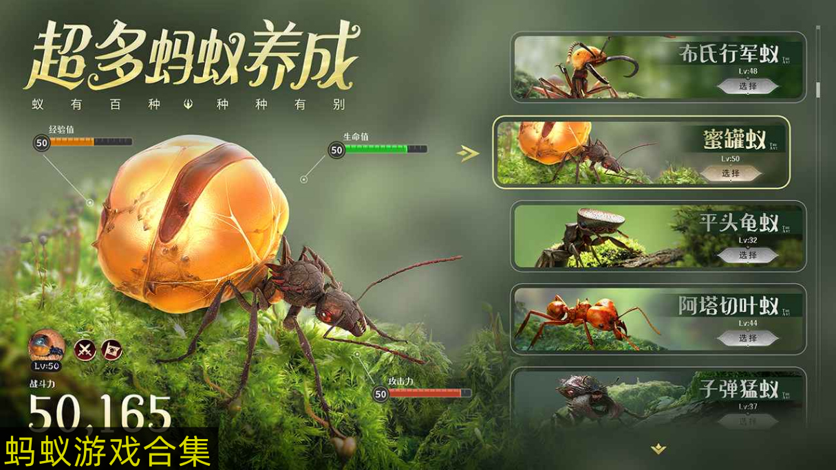 指挥蚂蚁打各种虫子的游戏 蚂蚁游戏哪个最好玩