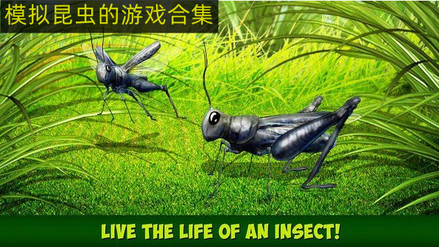 控制昆虫出兵的单机游戏 模拟昆虫的游戏大全