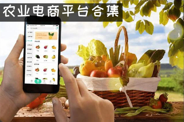 农产品销售平台app 农业电商平台有哪些