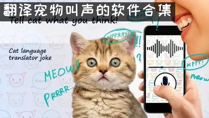 可以翻译宠物说话的软件 翻译宠物叫声的软件