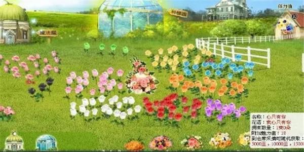 模拟养花种植的游戏排行 模拟养花种植的游戏推荐