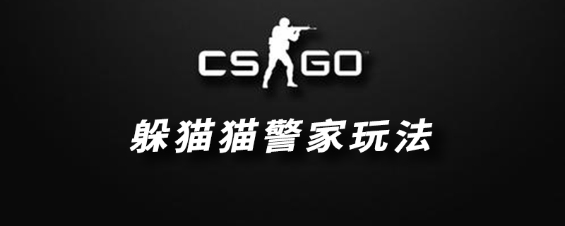 CSGO躲猫猫警家玩法攻略 CSGO躲猫猫警家怎么玩