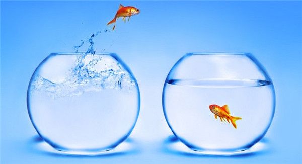 苹果/安卓fishbowl鱼缸测试网址打不开解决办法- fishbowl测试打不开怎么回事