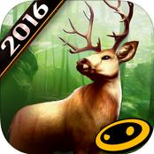 猎鹿人2016破解版iOS