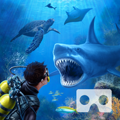 鲨鱼VR(SharksVR)苹果版