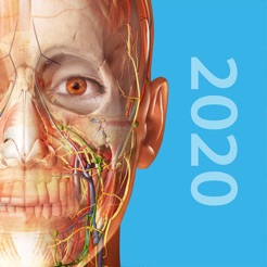 2020人体解剖学图谱苹果