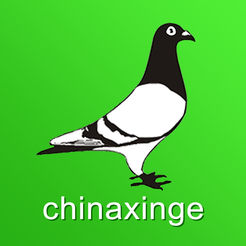中国信鸽信息网app ios