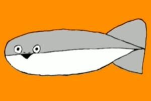 萨卡班甲鱼梗含义出处介绍- 网络用语萨卡班甲鱼是什么意思