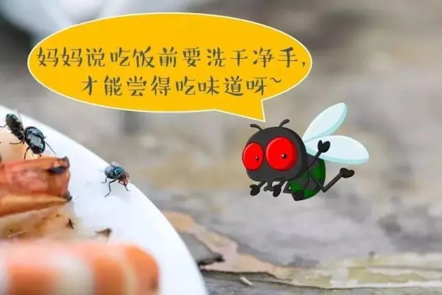 为什么苍蝇一停下来就喜欢“搓手”-支付宝蚂蚁庄园7月11日每日一题最新答案分享