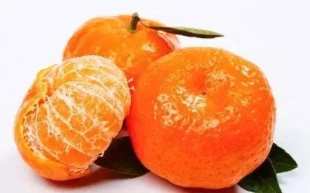 人人们常说吃橘子“上火”，主要是因为橘子-支付宝蚂蚁庄园9月2日每日一题最新答案分享