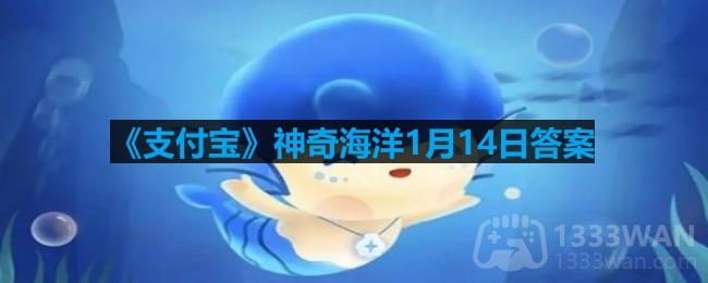 支付宝神奇海洋1月14日答案 猜猜以下哪种鲨鱼是会走路的鲨鱼