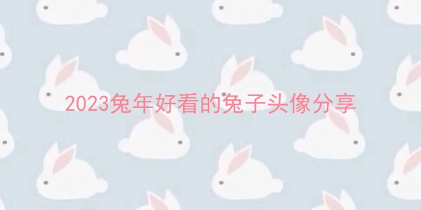 2023新年有哪些可爱的兔子头像-兔年好看的兔子头像分享