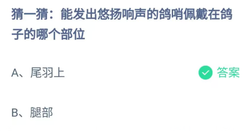 支付宝蚂蚁庄园7月26日答案最新2023 能发出悠扬响声的鸽哨佩戴在鸽子的哪个部位