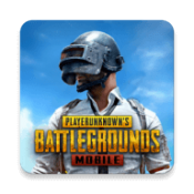 pubg国际服2.4