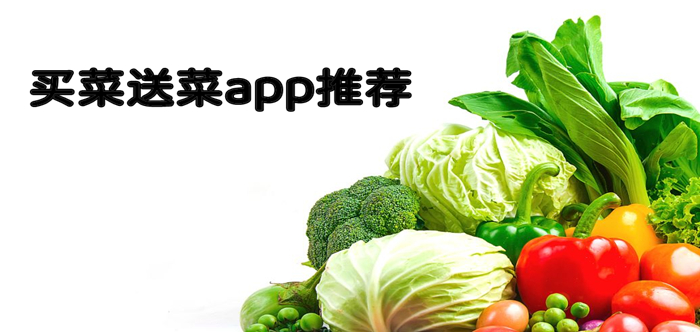 半小时到的便宜买菜送菜软件排行 买菜送菜app推荐