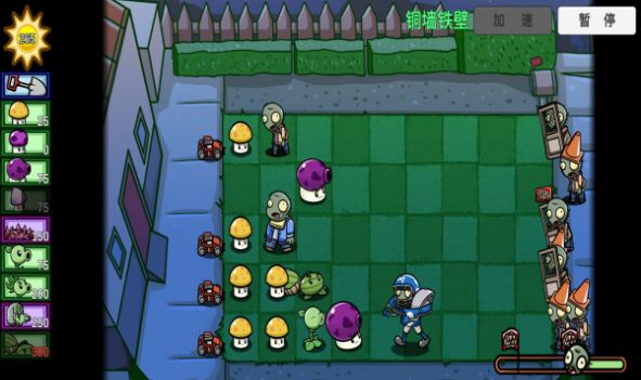 BT武装小种子排行 PVZ