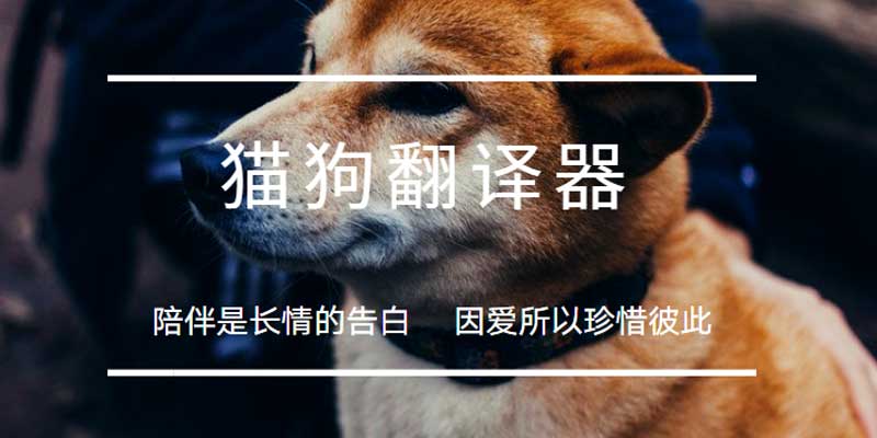 猫狗翻译软件免费排行 猫狗翻译器免费版排行安装