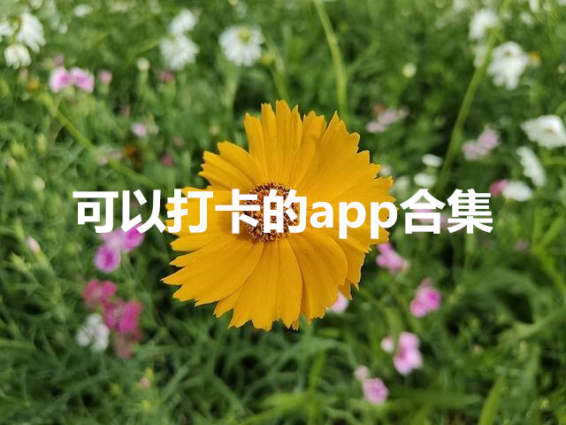 可以打卡的相机 可以打卡的app有哪些