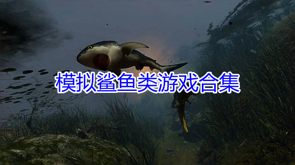 模拟鲨鱼类游戏排行 模拟鲨鱼类游戏有哪些